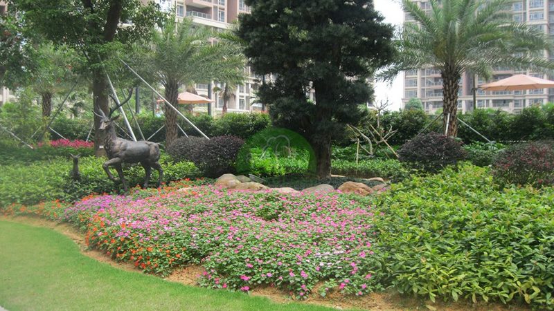 人造雾与水景：后期维护省心度对比分析